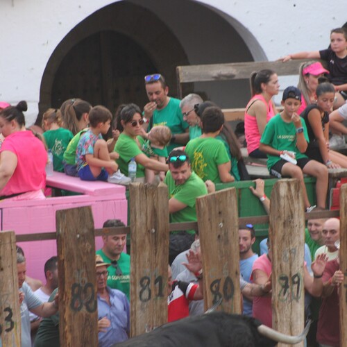 toros 16 agosto 2025 (48)